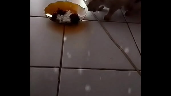 Anita, Si Binal Yang Bikin Ngiler Tiap Gerak.