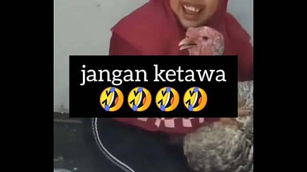 Gadis Gendut Ngeces Sambil Ngeloyor Penuh Gairah